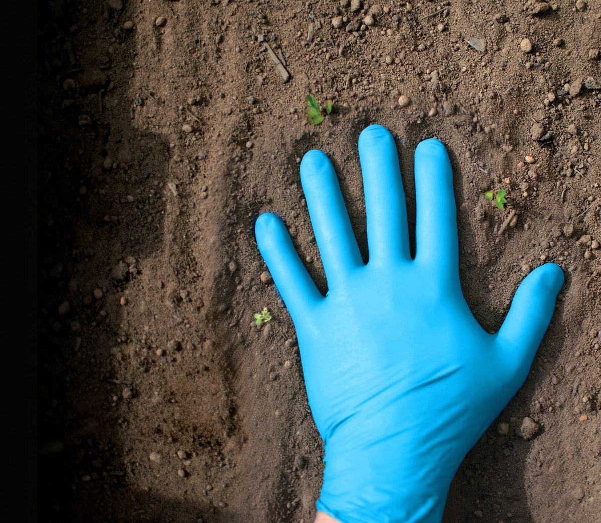 SHOWA® 9905PF Nitrile Gloves, 6-mil 11-in with EBT (Eco-Best Technology®) accelerated biodegradation decomposes 82% in 386 days.