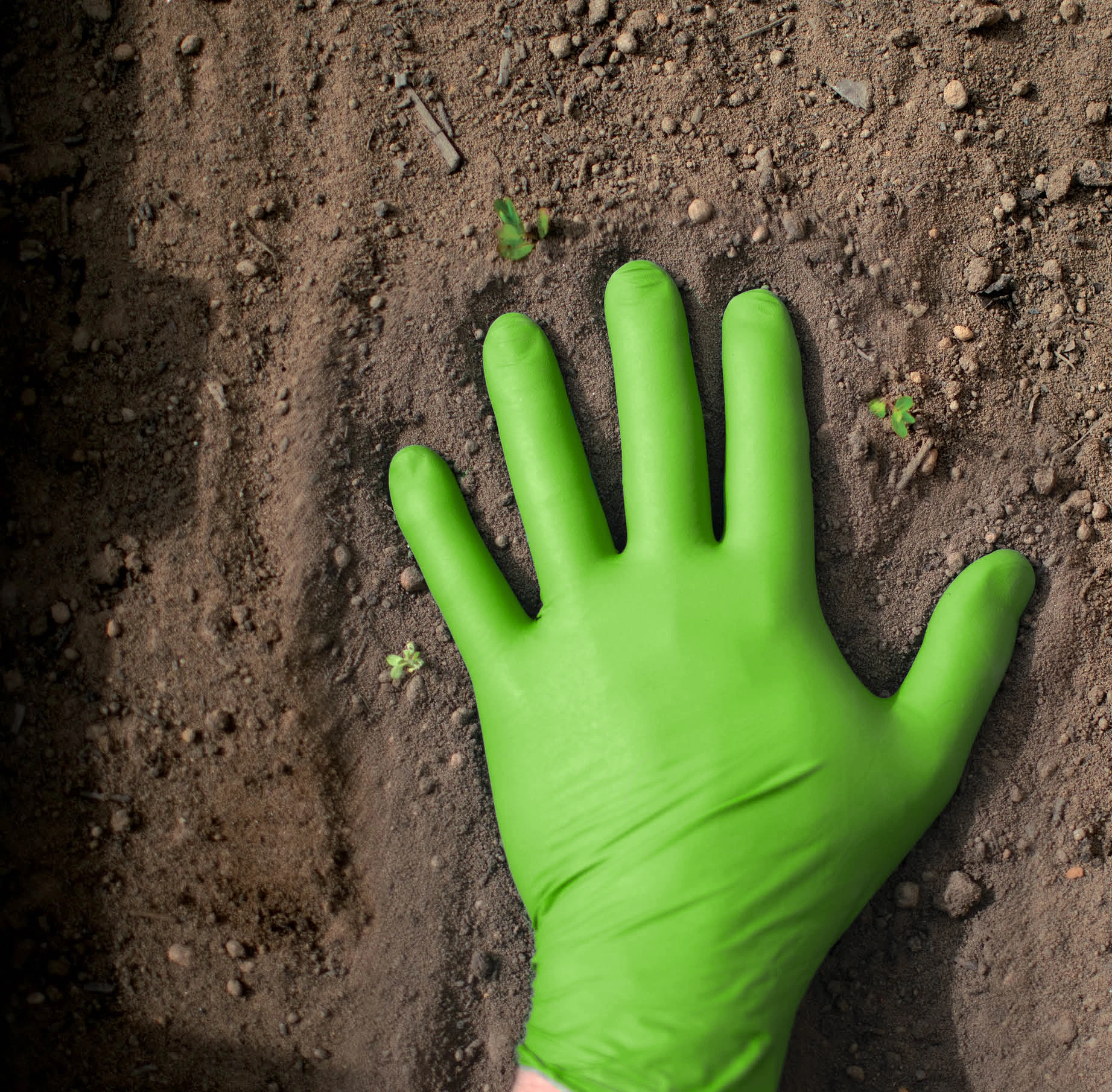 SHOWA® 7705PFT Accelerator-Free Hi-Viz Biodegradable EBT Nitrile Gloves oressing into soil
