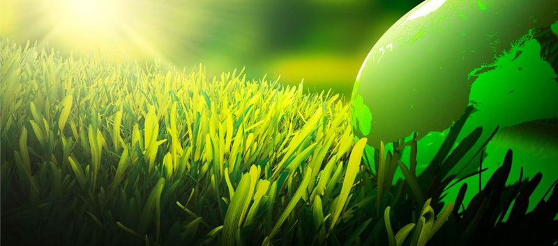 The ECO MDS story of sustainable safety products