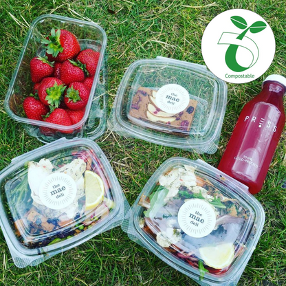 BioSelect® 16oz PLA Hinged Ribbed Deli Containers are made with using Ingeo™ corn resins that are  ASTM-D6400 certified biodegradable and compostable. These crystal clear, snap shut containers are perfect for salads, desserts, sandwiches, nuts, dips, meats, vegetables, fruit and more 