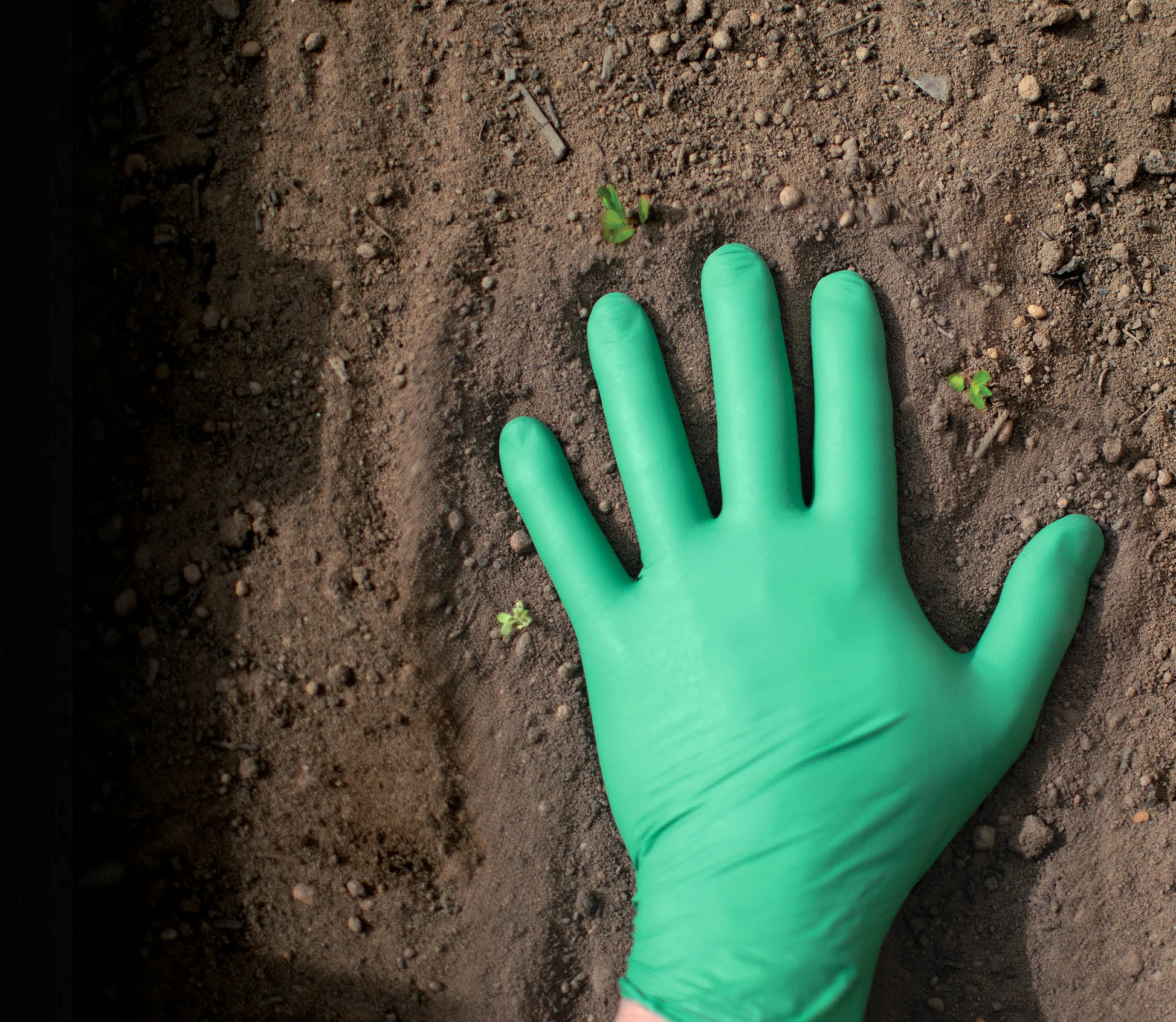showa gardening gloves SHOWA 6110PF Disposable Nitrile Gloves-GLV1356-XS