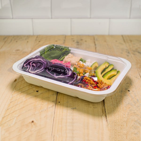 Made from from reclaimed sugarcane, these spill-proof Vegware compostable 42-ounce size 5 Bagasse gourmet food bases are good for hot or cold foods 