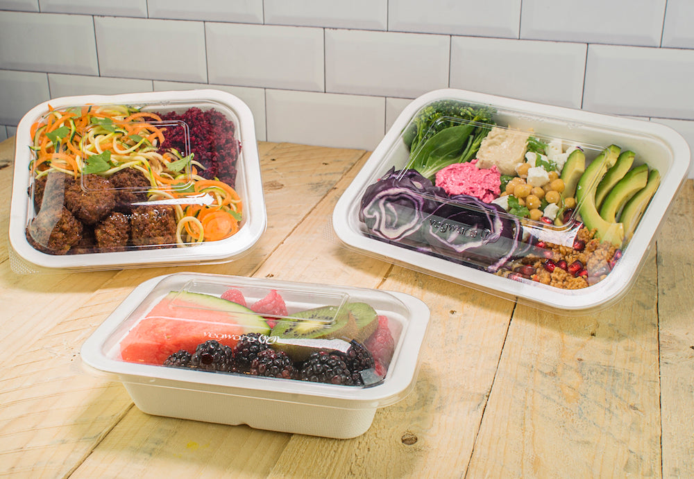 Made from from reclaimed sugarcane, these spill-proof compostable 16-ounce (size 3) Bagasse gourmet containers are good for hot or cold food and they're very sturdy and attractive.